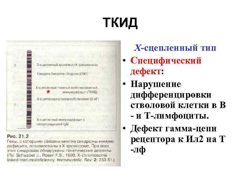   ТКИД   Х-сцепленный тип  • Специфический   дефект: 