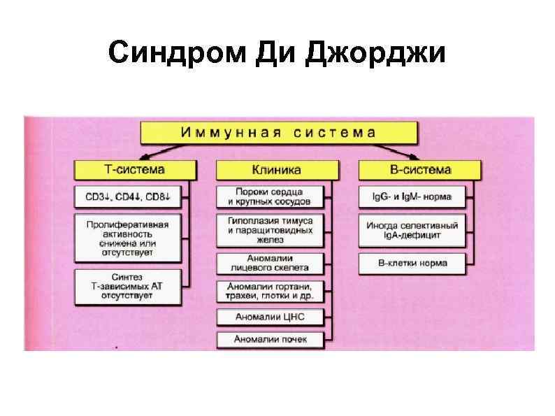 Картинки синдром ди джорджи