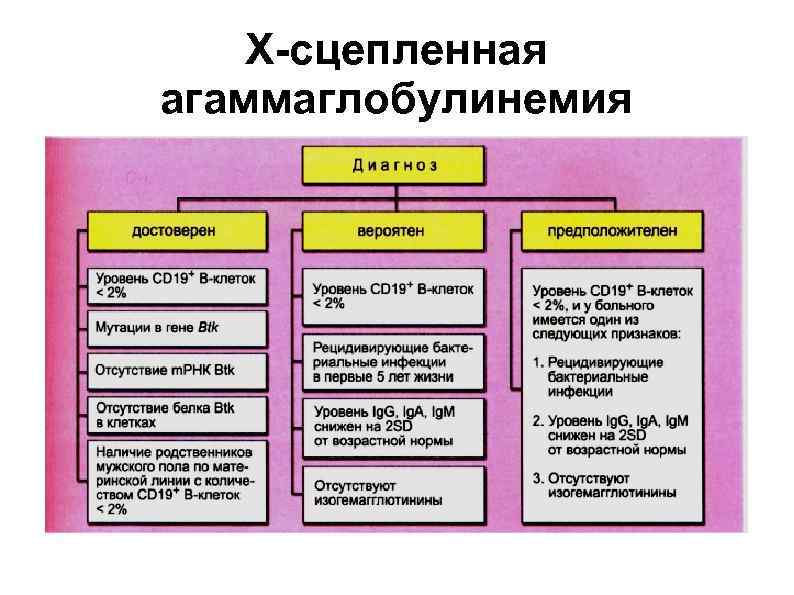   Х-сцепленная агаммаглобулинемия 