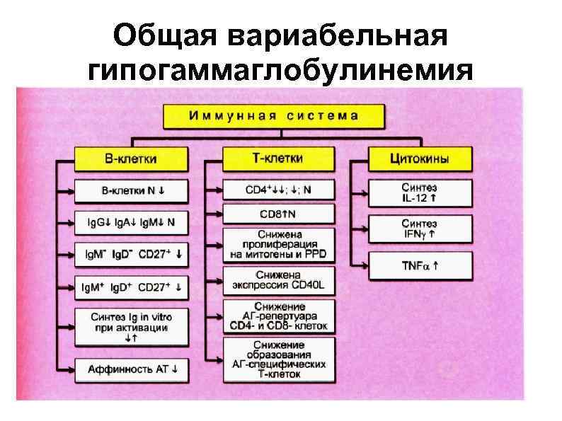  Общая вариабельная гипогаммаглобулинемия 