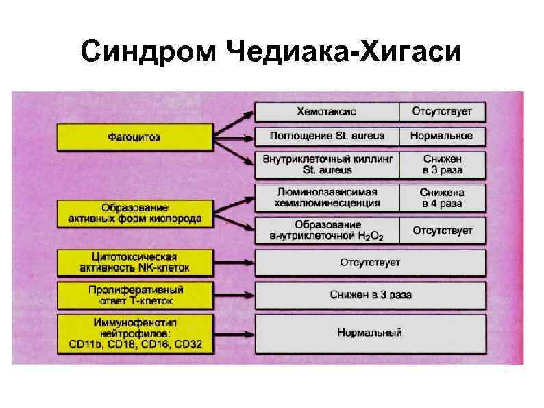 Синдром Чедиака-Хигаси 