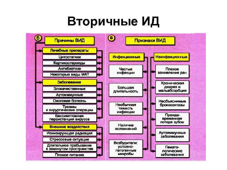 Вторичные ИД 