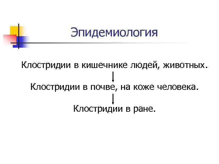    Эпидемиология Клостридии в кишечнике людей, животных.  Клостридии в почве, на