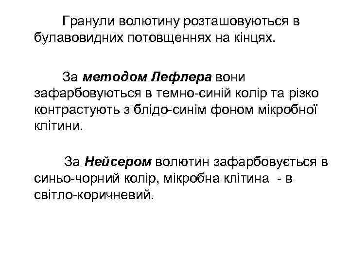   Гранули волютину розташовуються в булавовидних потовщеннях на кінцях.  За методом Лефлера