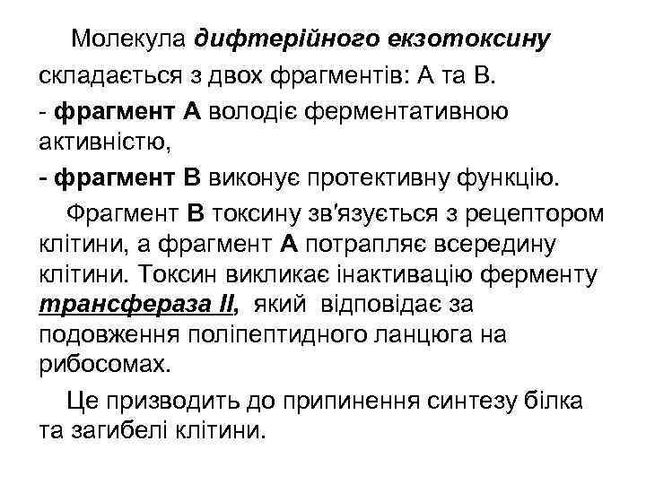   Молекула дифтерійного екзотоксину складається з двох фрагментів: А та В. - фрагмент