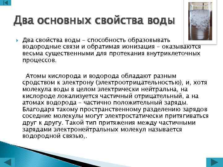 Два основных свойства воды Два свойства воды – способность образовывать водородные связи и обратимая