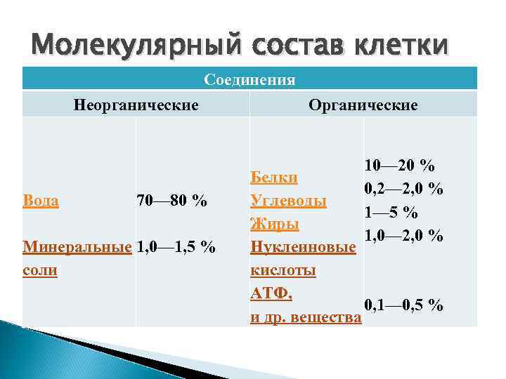 2 органические и неорганические вещества клетки. Молекулярный состав клетки. Органические и неорганические вещества клетки таблица. Молекулярный состав клетки таблица. Соотношение неорганических и органических веществ в клетке.
