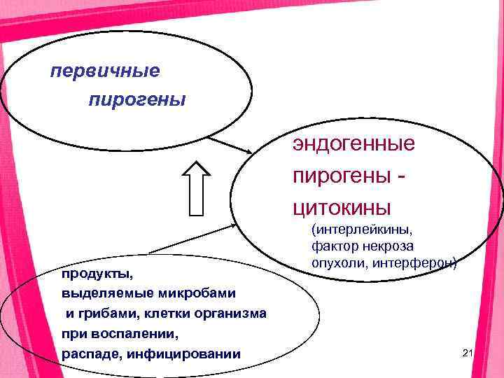 первичные  пирогены      эндогенные     