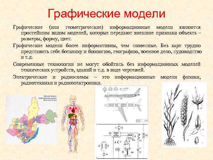    Графические модели Графические (или геометрические) информационные модели являются  простейшим видом