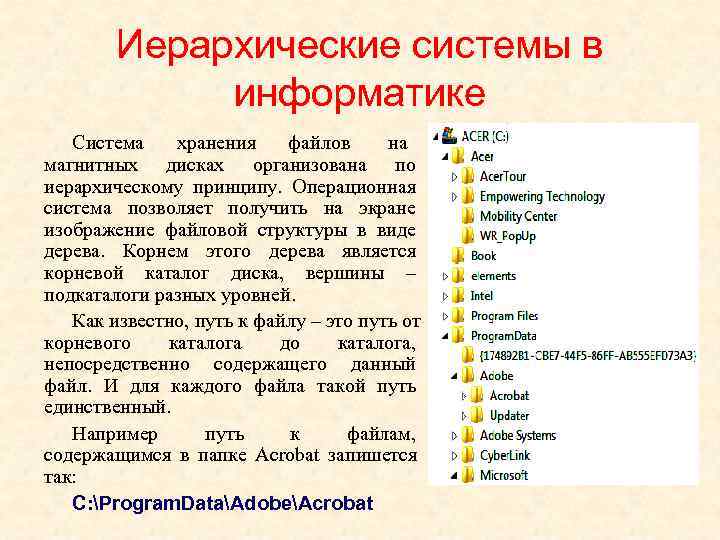  Иерархические системы в   информатике  Система  хранения файлов на