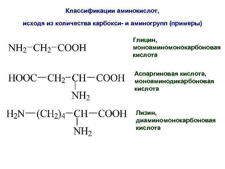   Классификации аминокислот, исходя из количества карбокси- и аминогрупп (примеры)   