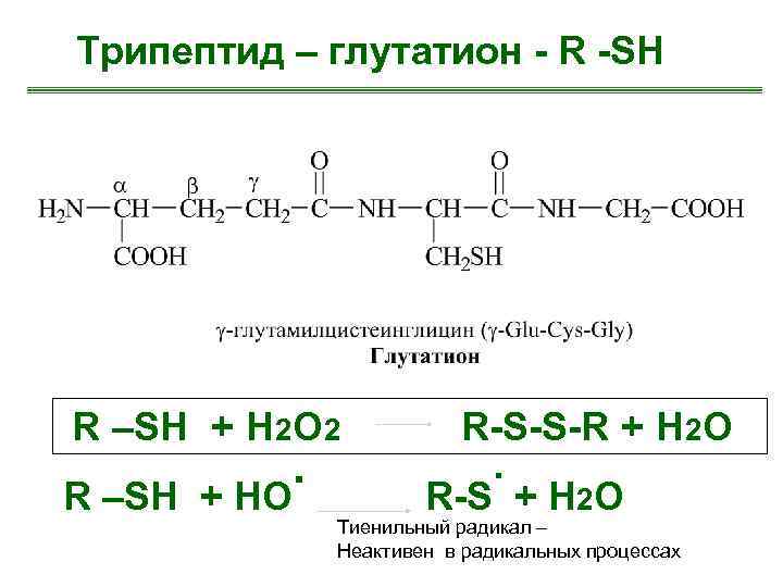 Схема образования глутатиона