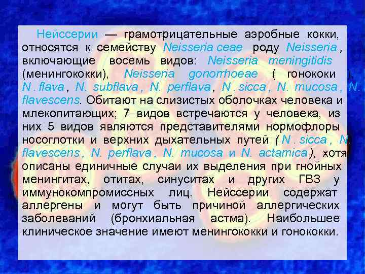   Нейссерии — грамотрицательные аэробные кокки, относятся к семейству Neisseria сеае роду Neisseria