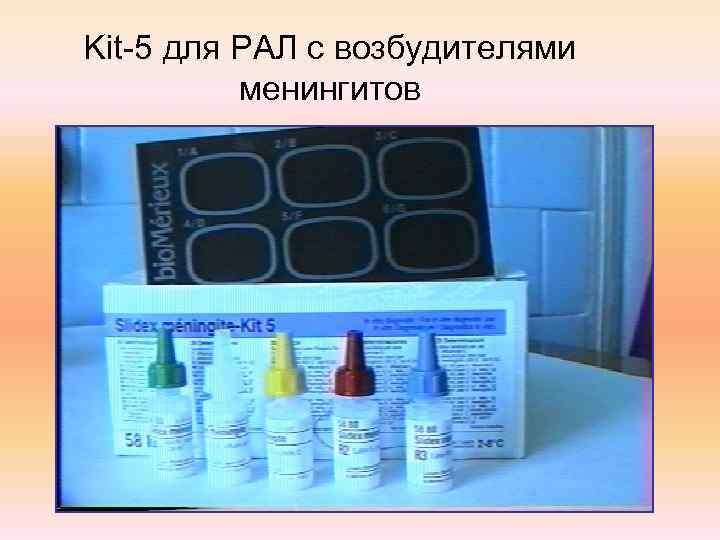 Kit-5 для РАЛ с возбудителями  менингитов 