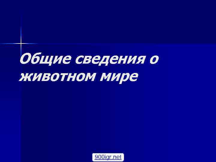 Общие сведения о животном мире   900 igr. net 