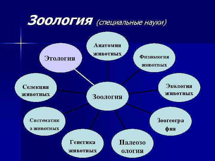  Зоология (специальные науки)    Анатомия    животных  Физиология