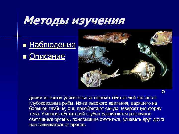 Методы изучения n Наблюдение n Описание      О дними из