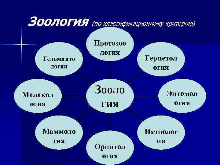  Зоология (по классификационному критерию)   Протозоо    логия Гельминто 