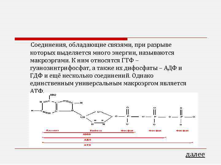 При разрыве связи выделяется энергия. Макроэргические соединения строение. Строение и функции макроэргов. Универсальный макроэрг. Строение и биологическая роль макроэргов.