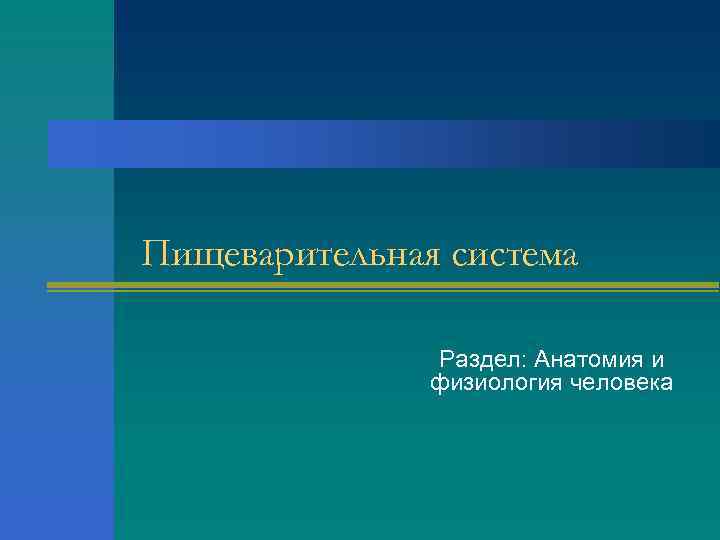 Пищеварительная система   Раздел: Анатомия и   физиология человека 