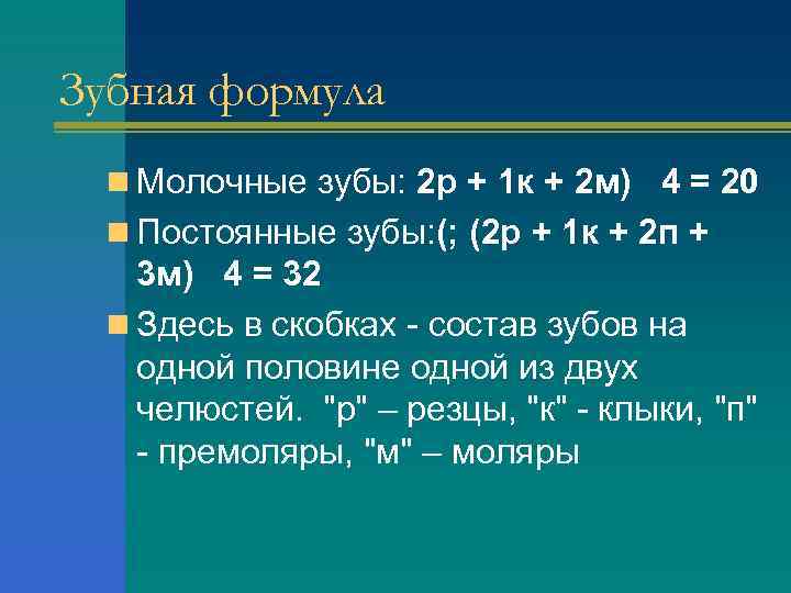 Зубная формула  n Молочные зубы: 2 р + 1 к + 2 м)