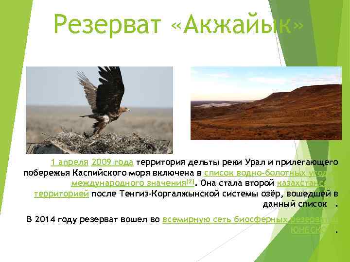 Резерват «Акжайык»  1 апреля 2009 года территория дельты реки Урал и прилегающего