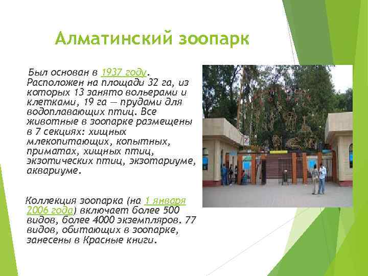  Алматинский зоопарк Был основан в 1937 году. Расположен на площади 32 га, из