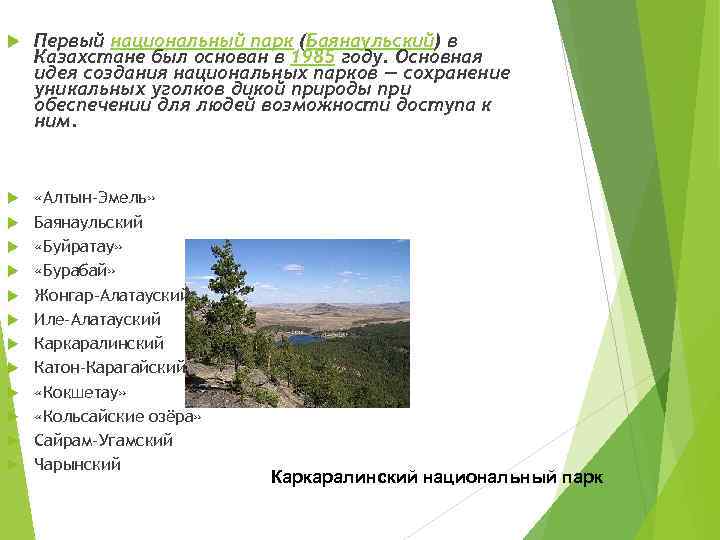   Первый национальный парк (Баянаульский) в Казахстане был основан в 1985 году. Основная
