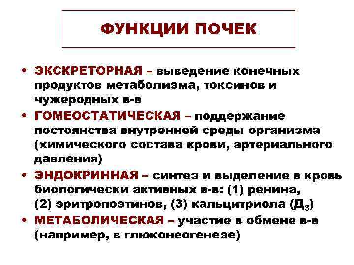    ФУНКЦИИ ПОЧЕК  • ЭКСКРЕТОРНАЯ – выведение конечных  продуктов метаболизма,