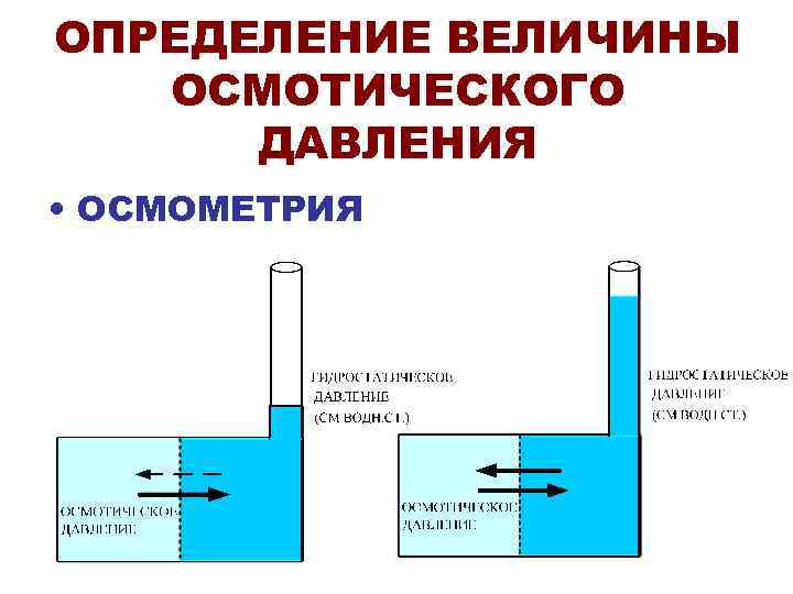 ОПРЕДЕЛЕНИЕ ВЕЛИЧИНЫ  ОСМОТИЧЕСКОГО  ДАВЛЕНИЯ • ОСМОМЕТРИЯ 