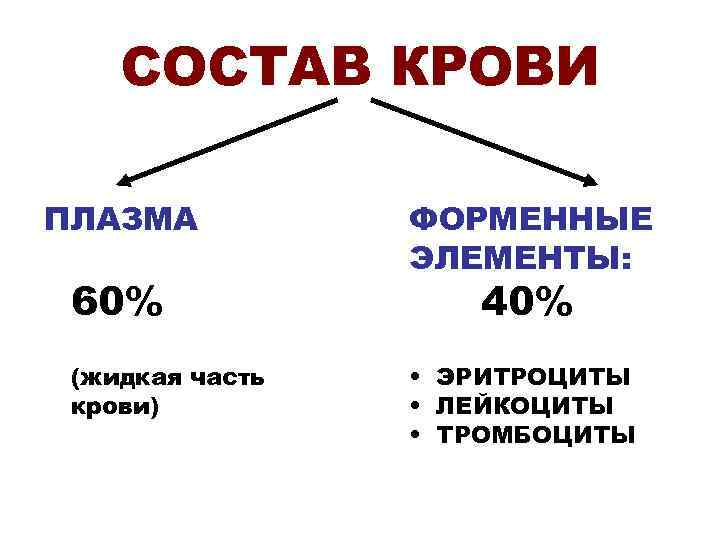 Графологическая схема состав крови