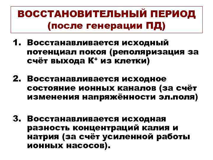 ВОССТАНОВИТЕЛЬНЫЙ ПЕРИОД (после генерации ПД) 1. Восстанавливается исходный  потенциал покоя (реполяризация за 