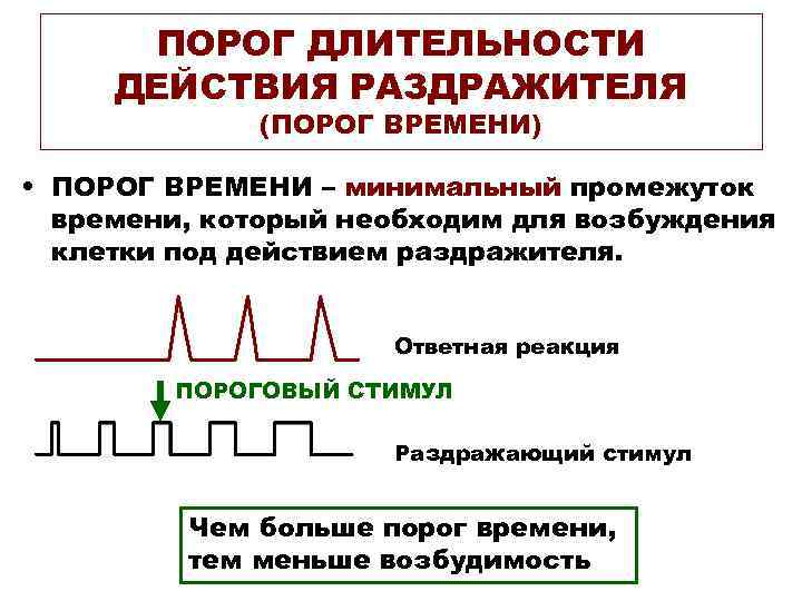  ПОРОГ ДЛИТЕЛЬНОСТИ ДЕЙСТВИЯ РАЗДРАЖИТЕЛЯ   (ПОРОГ ВРЕМЕНИ)  • ПОРОГ ВРЕМЕНИ –
