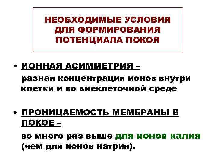  НЕОБХОДИМЫЕ УСЛОВИЯ  ДЛЯ ФОРМИРОВАНИЯ  ПОТЕНЦИАЛА ПОКОЯ  • ИОННАЯ АСИММЕТРИЯ –