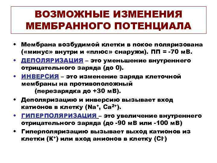   ВОЗМОЖНЫЕ ИЗМЕНЕНИЯ  МЕМБРАННОГО ПОТЕНЦИАЛА • Мембрана возбудимой клетки в покое поляризована