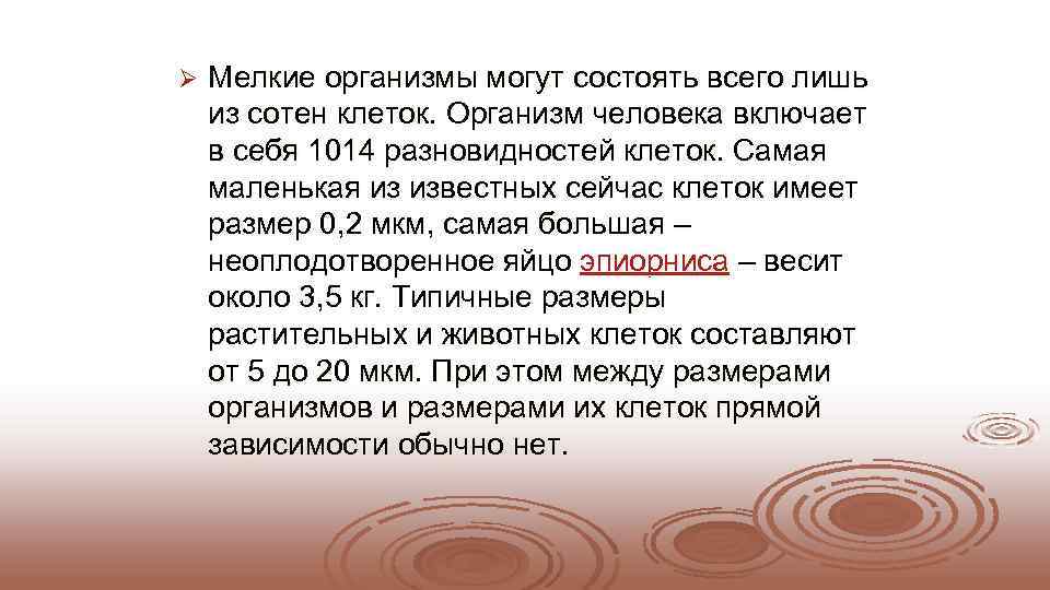 Ø  Мелкие организмы могут состоять всего лишь из сотен клеток. Организм человека включает