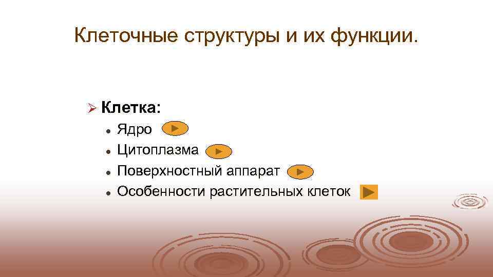 Клеточные структуры и их функции. Ø Клетка: l  Ядро  l  Цитоплазма