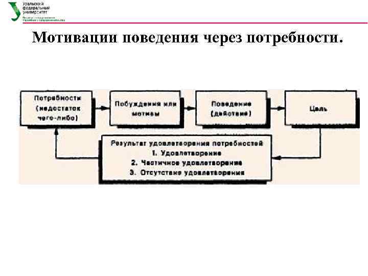 Мотивации поведения через потребности. 