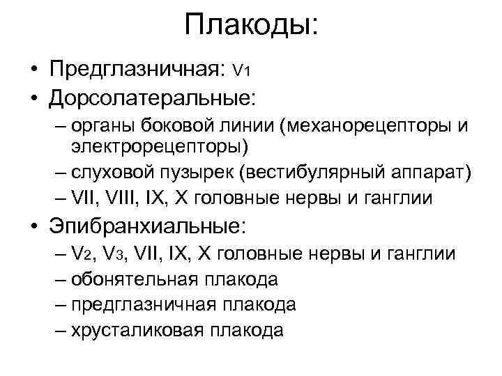     Плакоды:  • Предглазничная: V 1 • Дорсолатеральные:  –