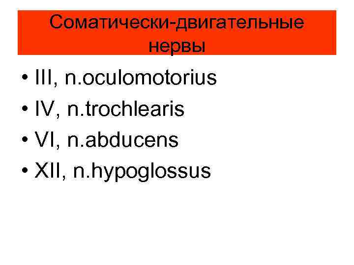   Соматически-двигательные   нервы • III, n. oculomotorius • IV, n. trochlearis
