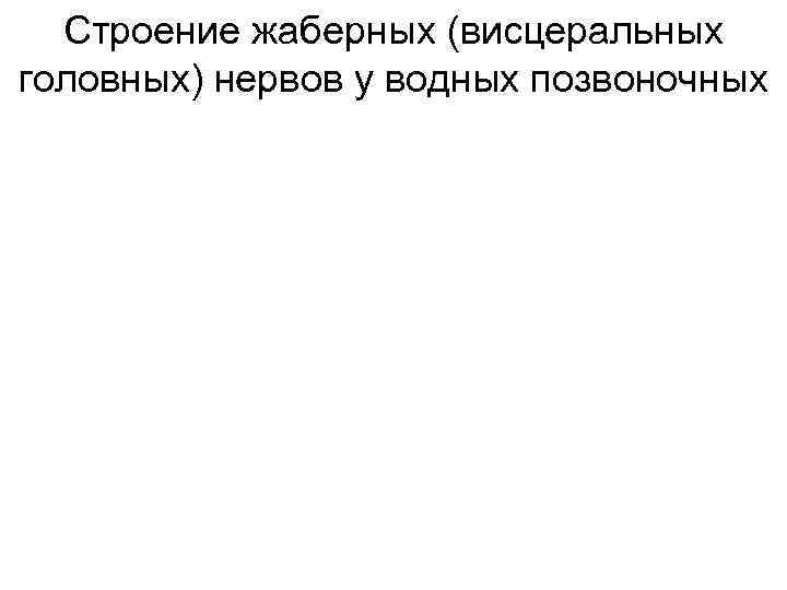  Строение жаберных (висцеральных головных) нервов у водных позвоночных 