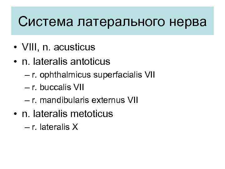  Система латерального нерва • VIII, n. acusticus • n. lateralis antoticus  –