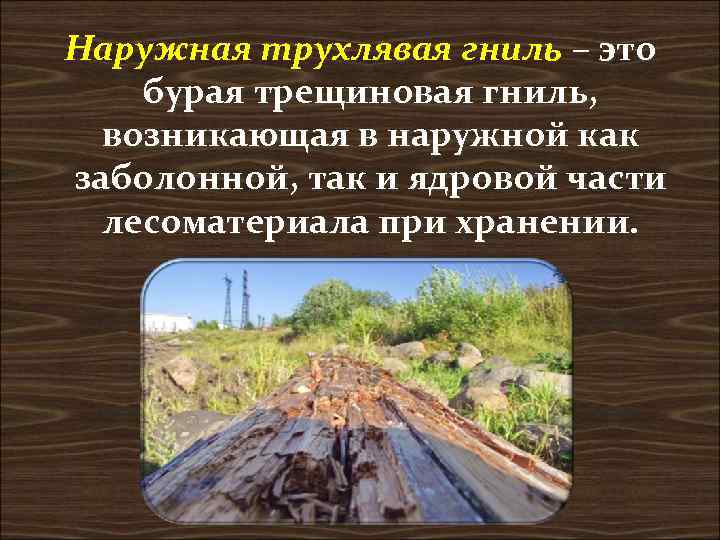 Наружная трухлявая гниль – это бурая трещиновая гниль,  возникающая в наружной как заболонной,