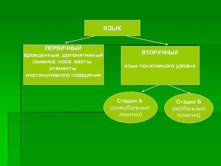     ЯЗЫК   ПЕРВИЧНЫЙ врожденный, допонятийный   ВТОРИЧНЫЙ 