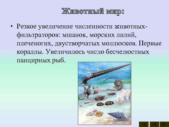     Животный мир:  • Резкое увеличение численности животных-  фильтраторов:
