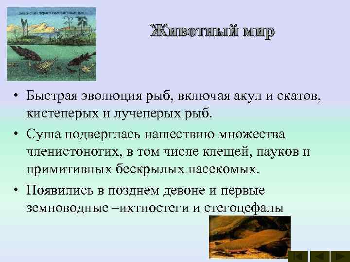     Животный мир  • Быстрая эволюция рыб, включая акул и