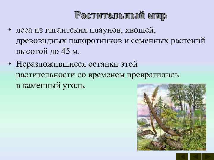    Растительный мир • леса из гигантских плаунов, хвощей, древовидных папоротников и