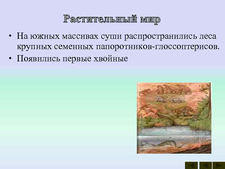   Растительный мир • На южных массивах суши распространились леса  крупных семенных