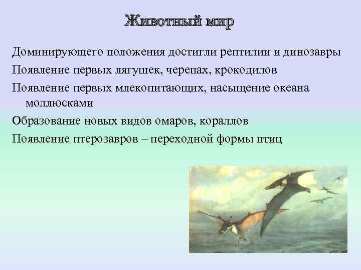    Животный мир Доминирующего положения достигли рептилии и динозавры Появление первых лягушек,