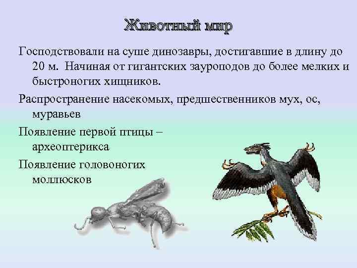    Животный мир Господствовали на суше динозавры, достигавшие в длину до